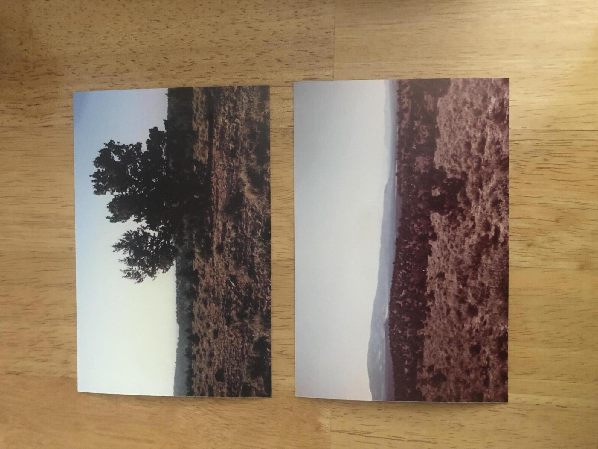 Prineville Acres - Land