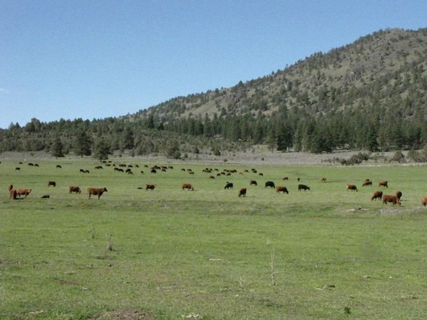 Tax Acct #'s R-3910-01200-00600-U01,R-3910-01300-00300-U01,R-3910-01300-00200-U01,R-3910-01400-00200-U01,R-3910-01400-00300-U01,R-3910-00000-01800-U01,R-3910-00000-00600-U01