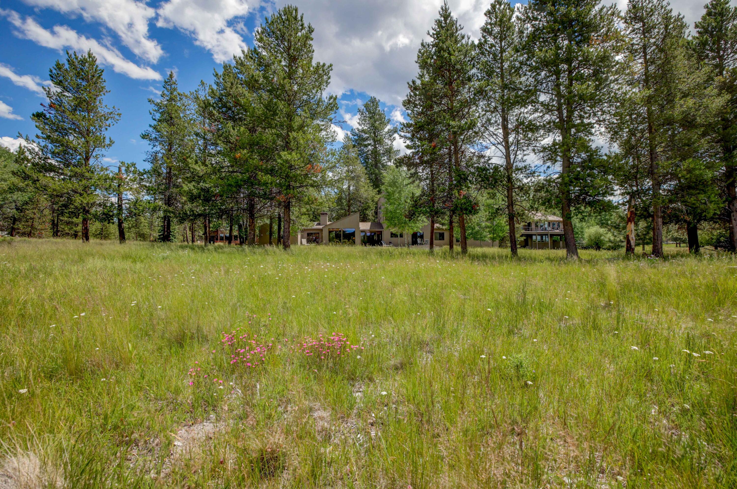 Mtn Village West - Residential