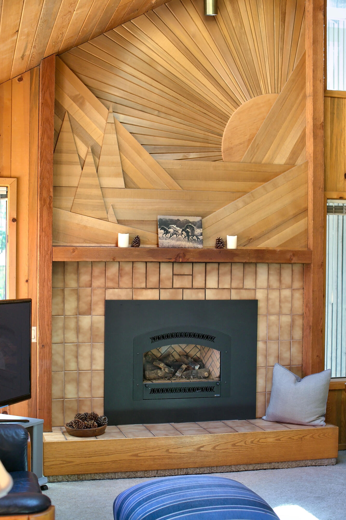 South Meadow - Residential