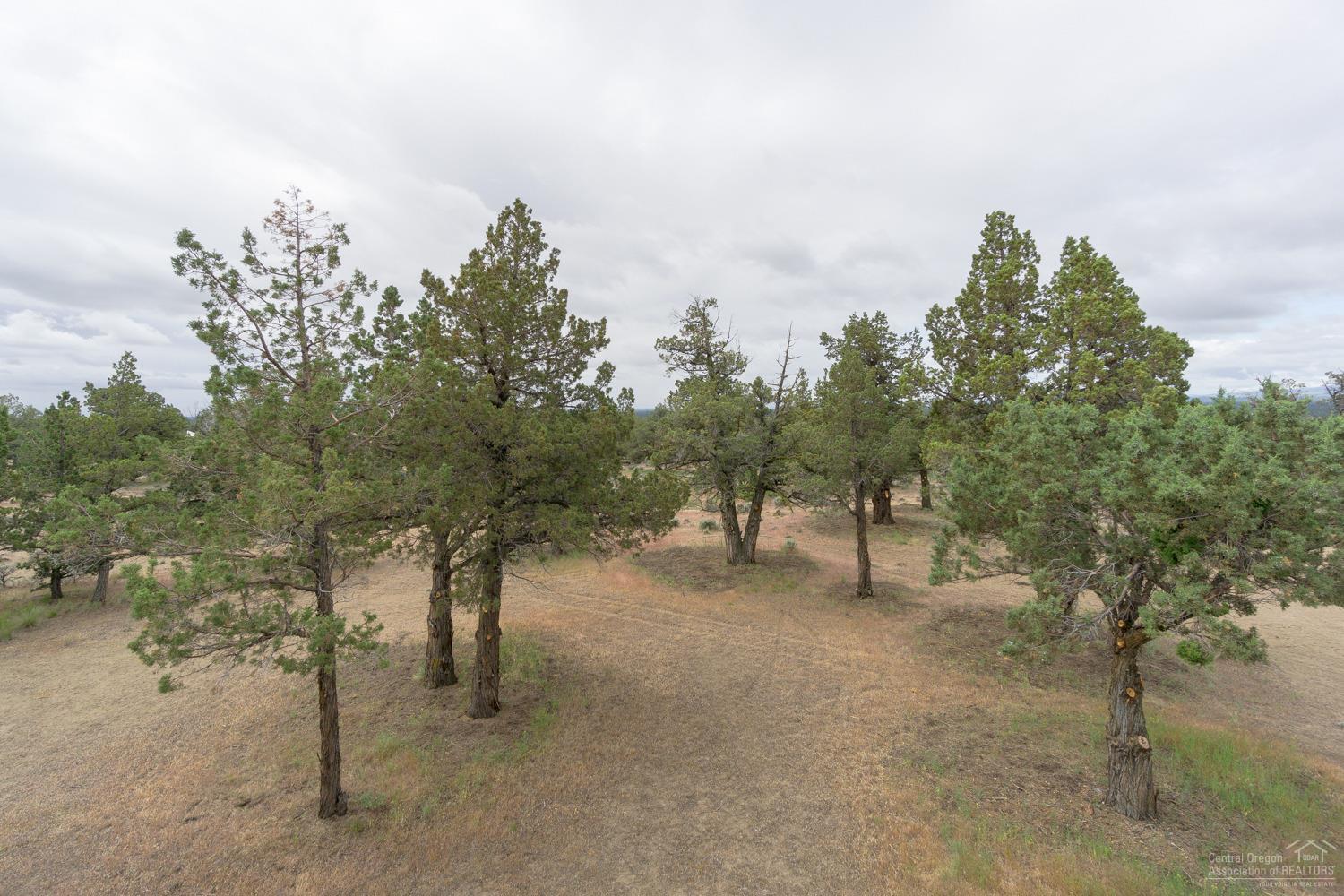 Whispering Pines - Residential