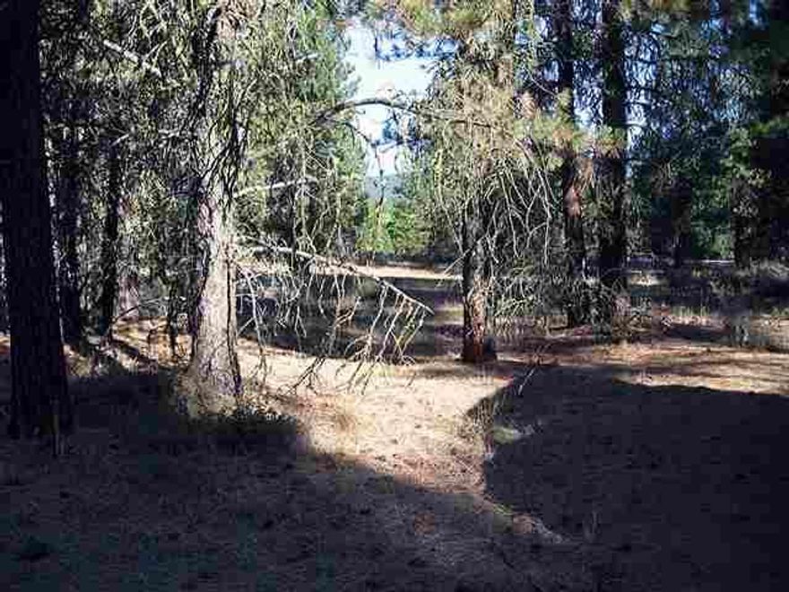 Nice Level Building Lot With Cap And Fill Septic Approval Close To Klamath Lake With Lots Of Pines At The End Of The Cul-de-sac.