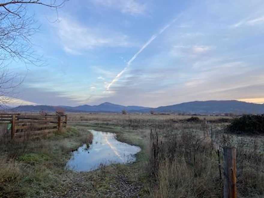 Located just minutes from Eagle Point, Oregon, Rolling Hills Drive is directly across the street from the Urban Growth Annex boundary! 20 acres of beautiful views and serene property could be yours to
 build your new home, engage in some farming activity or hold on to until the property can be subdivided, once in the urban growth boundary.  Electricity goes to the interior of this property.  Pump irrigation
 water rights with the Eagle Point Irrigation District.  Don't miss your chance to invest in a little piece of Heaven.  Buyer and Buyer's Agent to do own due diligence of all
 aspects of this property, including, but not limited to land use, property lines, permits and planning