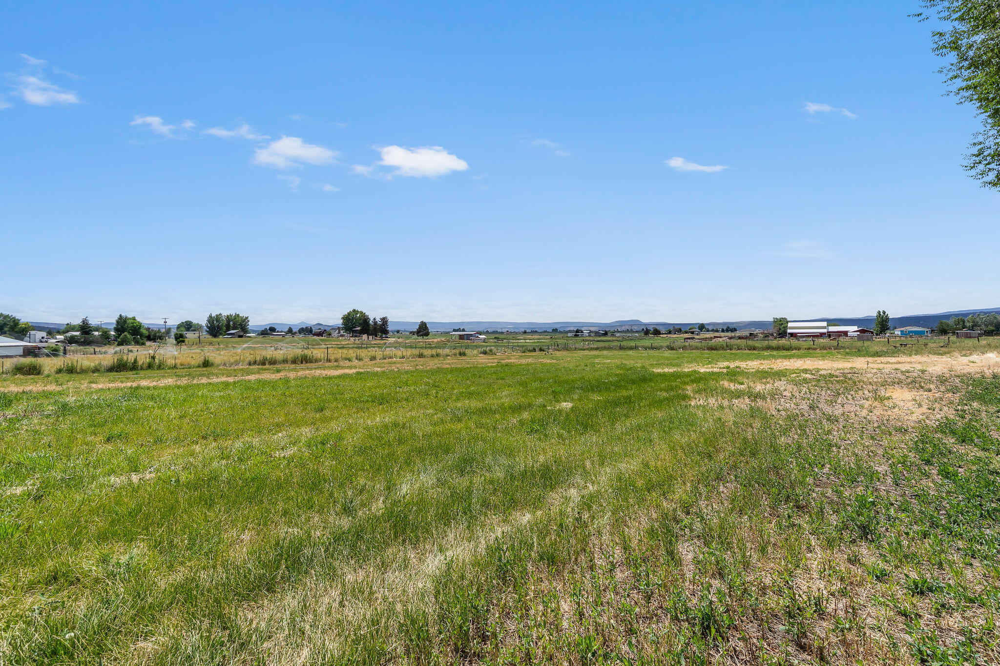 Puckett Est - Residential