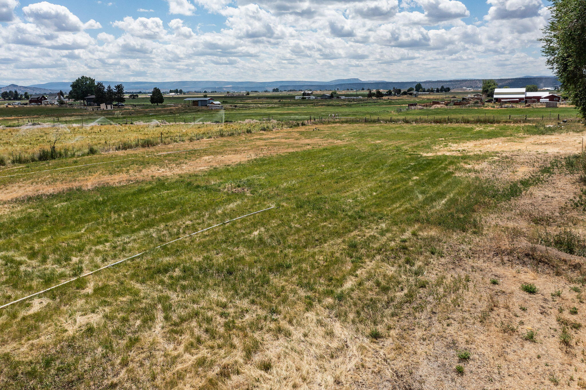 Puckett Est - Residential