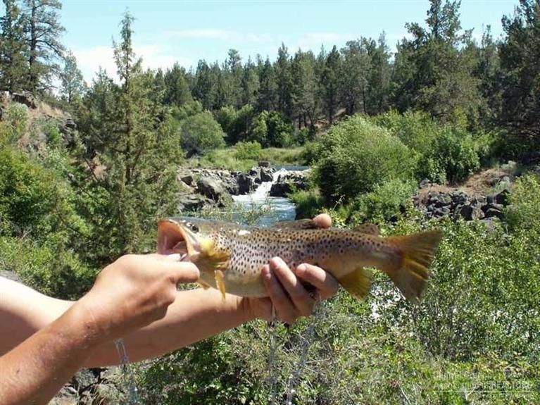 Parker Ranch - Residential