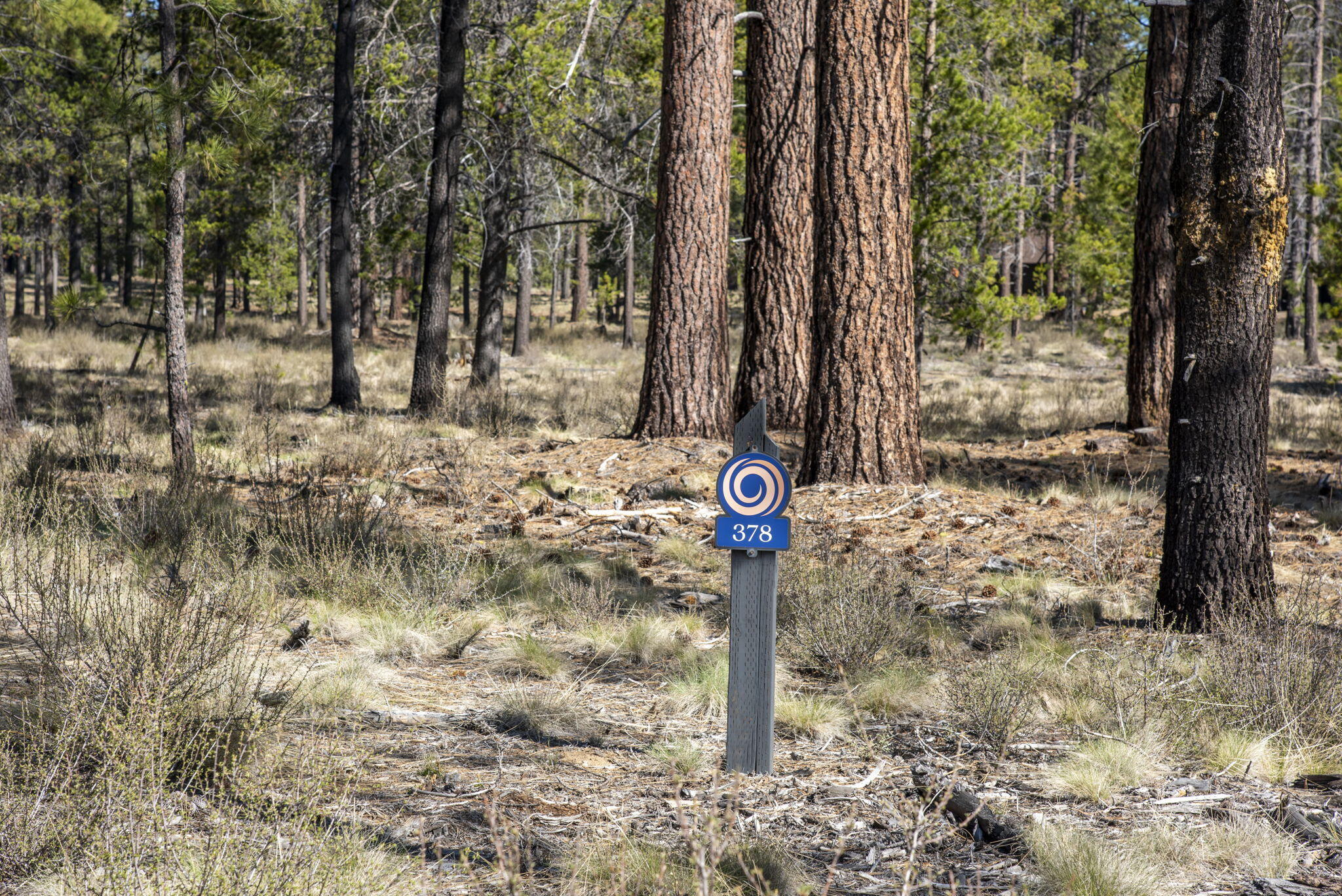 56210 Mirror Rock Loop