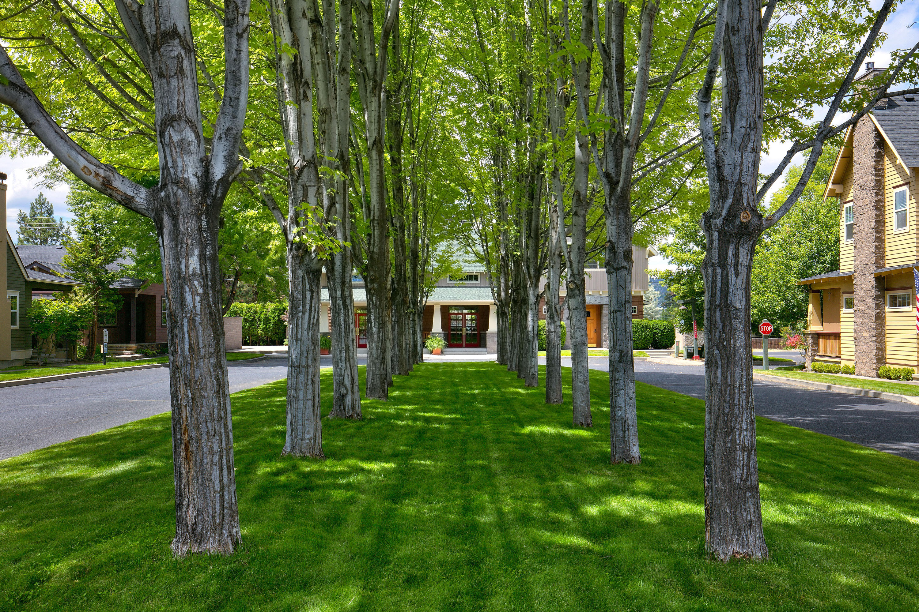 Village Wiestoria - Residential