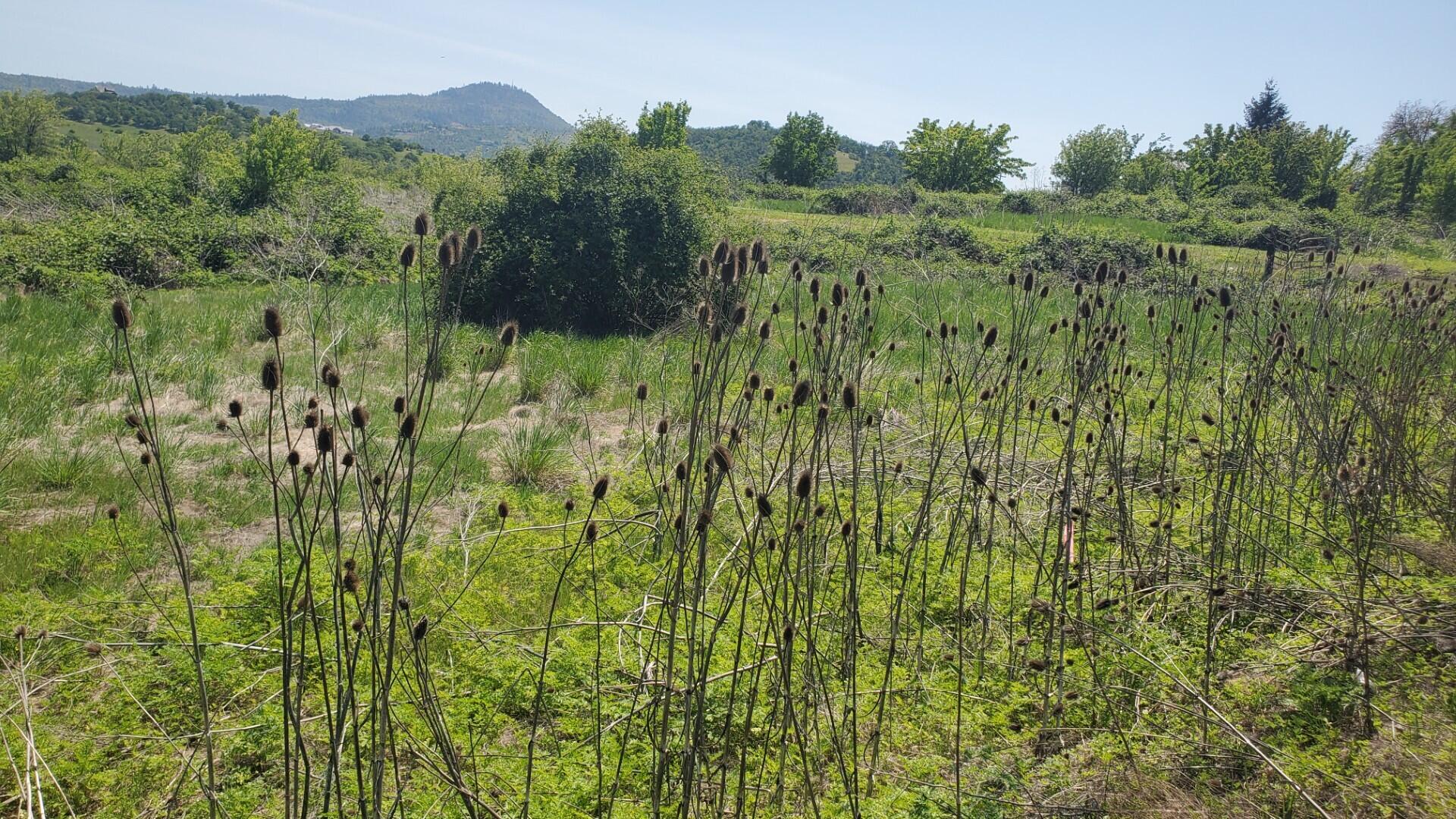 N/A - Commercial Sale