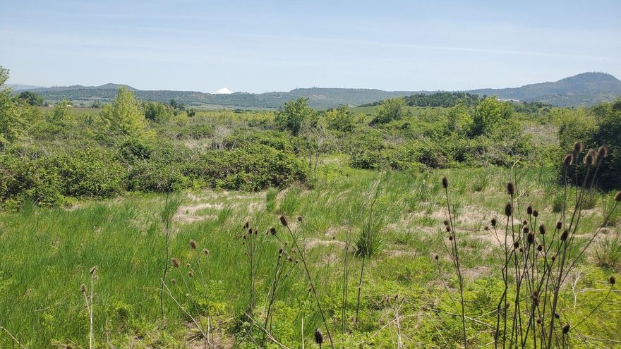 This exceptional 13.52-acre commercial opportunity sits along Crater Lake Highway, offering unmatched visibility and access to high-volume traffic just outside thriving Medford. Position your business at the gateway of an 182-acre mixed-use development that will soon welcome over 475 residential homes and apartments, creating a built-in customer base from day one. Strategic location within a designated Opportunity Zone unlocks valuable tax incentives for savvy investors. With highway frontage providing constant exposure to potential customers and substantial surrounding growth planned, this parcel represents the ideal foundation for retail, hospitality, or mixed commercial ventures. Don't miss this rare chance to secure prime real estate in Southern Oregon's expanding market—where your business vision meets  development potential and tax advantages in one perfectly positioned property.  Additional commercial and apartment land available!