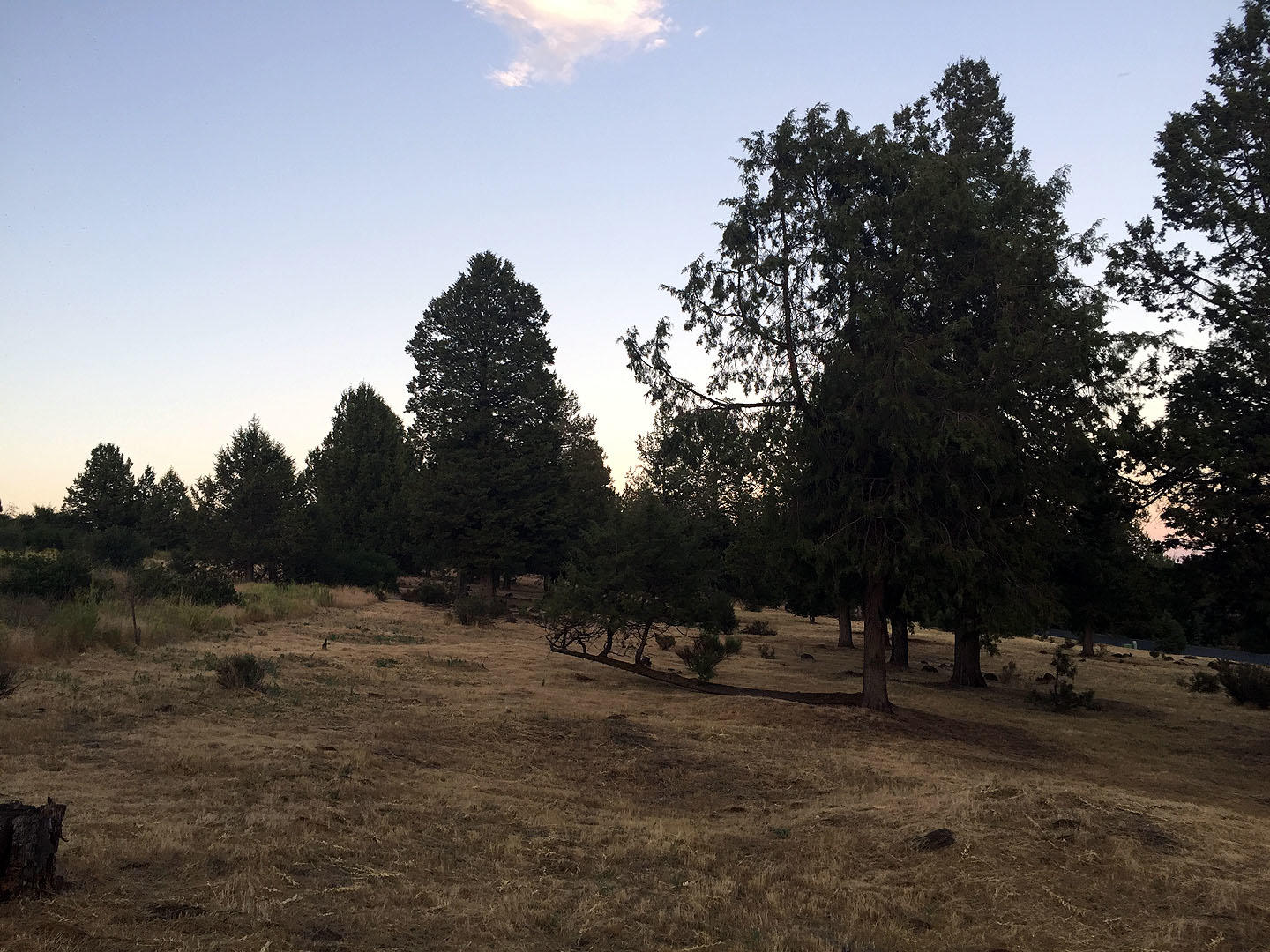 Running YResort - Land