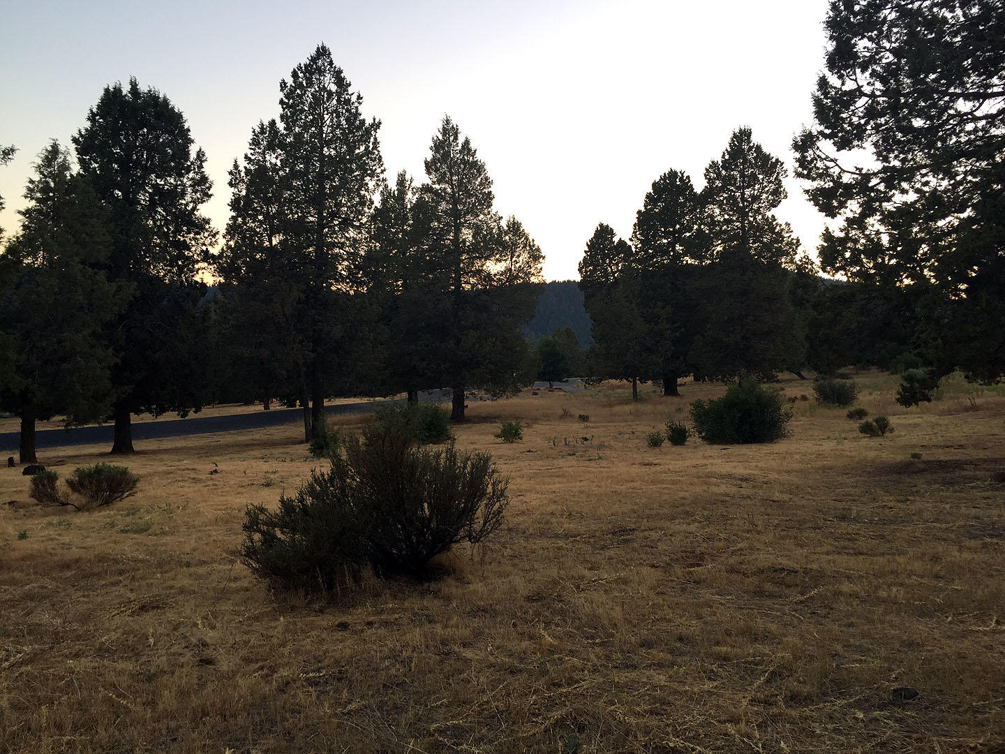 Running YResort - Land