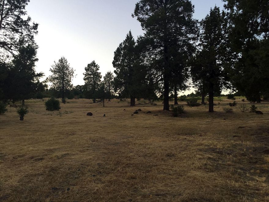 This lot has fabulous sunset views, mature trees and gentle property slope. There is plenty of space to build your custom home at one of the best developments in Oregon. Klamath Falls is just a short drive from the California and Oregon border. It's a great place to live or enjoy a second home. Set on a 3,600 acre Cascade Mountain ranch along the Upper Klamath Lake, this rustic resort is 8 miles from the town of Klamath Falls and 12 miles from the Klamath Falls Airport. The Running Y Ranch development is blessed with an Arnold Palmer Signature ''Sweet 16'' Golf Course, plus a miniature golf course with water hazards, sand traps and sneaky breaks, these are just a couple of the many amenities at the Running Y Resort. Horseback riding and plenty of trails allow you to discover this 3,600 acre working ranch. Come-on-home and discover the Running Y Ranch lifestyle.