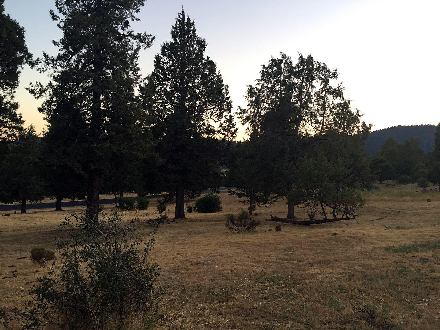 Running YResort - Land