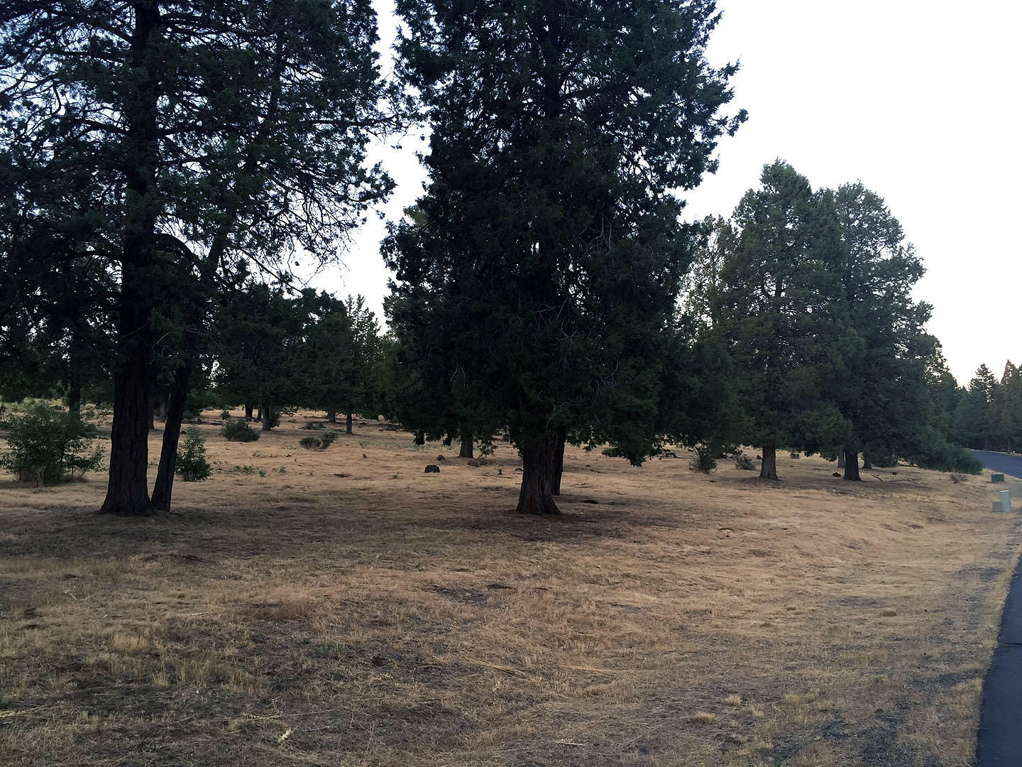 Running YResort - Land