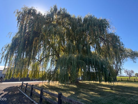 Tiny photo for 11288 SW Highway 126, Powell Butte, OR 97753 (MLS # 220229813)