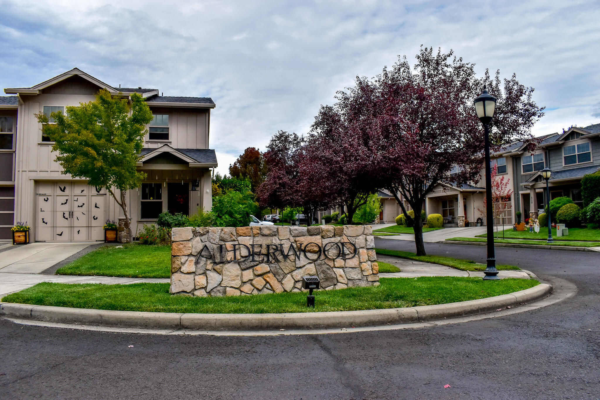Alderwood Townhomes - Residential