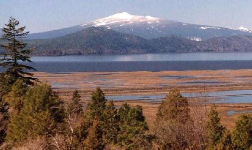 Best Views In Oregon! Paradise Hill 5 Acre Estates.6 Miles No. Of Main St. Via Hwy 97 Rt @ Shady Pine.Cc&R's.Underground Power/Phone. Paved Main Roads.Gated. Gen. Photos Follow.Co-owner Licensed Broker.