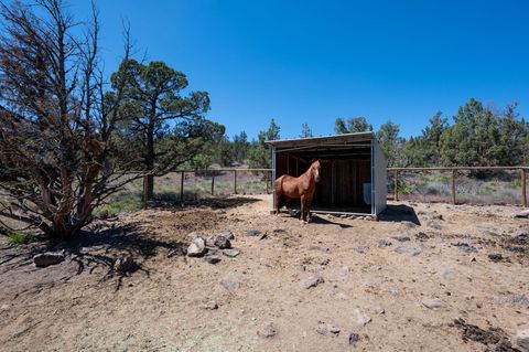 Tiny photo for 444 NW Pinecrest Drive, Prineville, OR 97754 (MLS # 220216976)