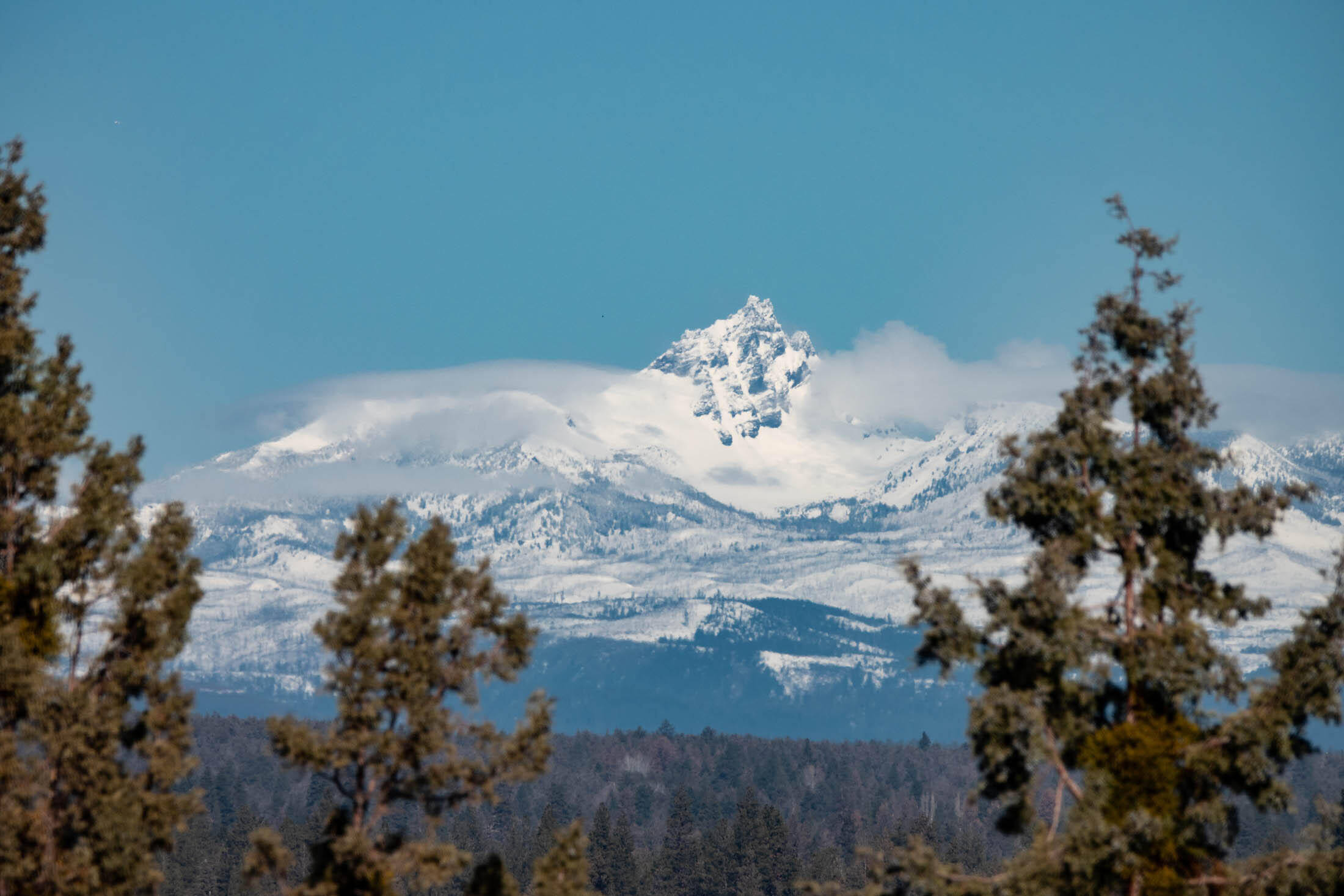 Wyndemere - Residential