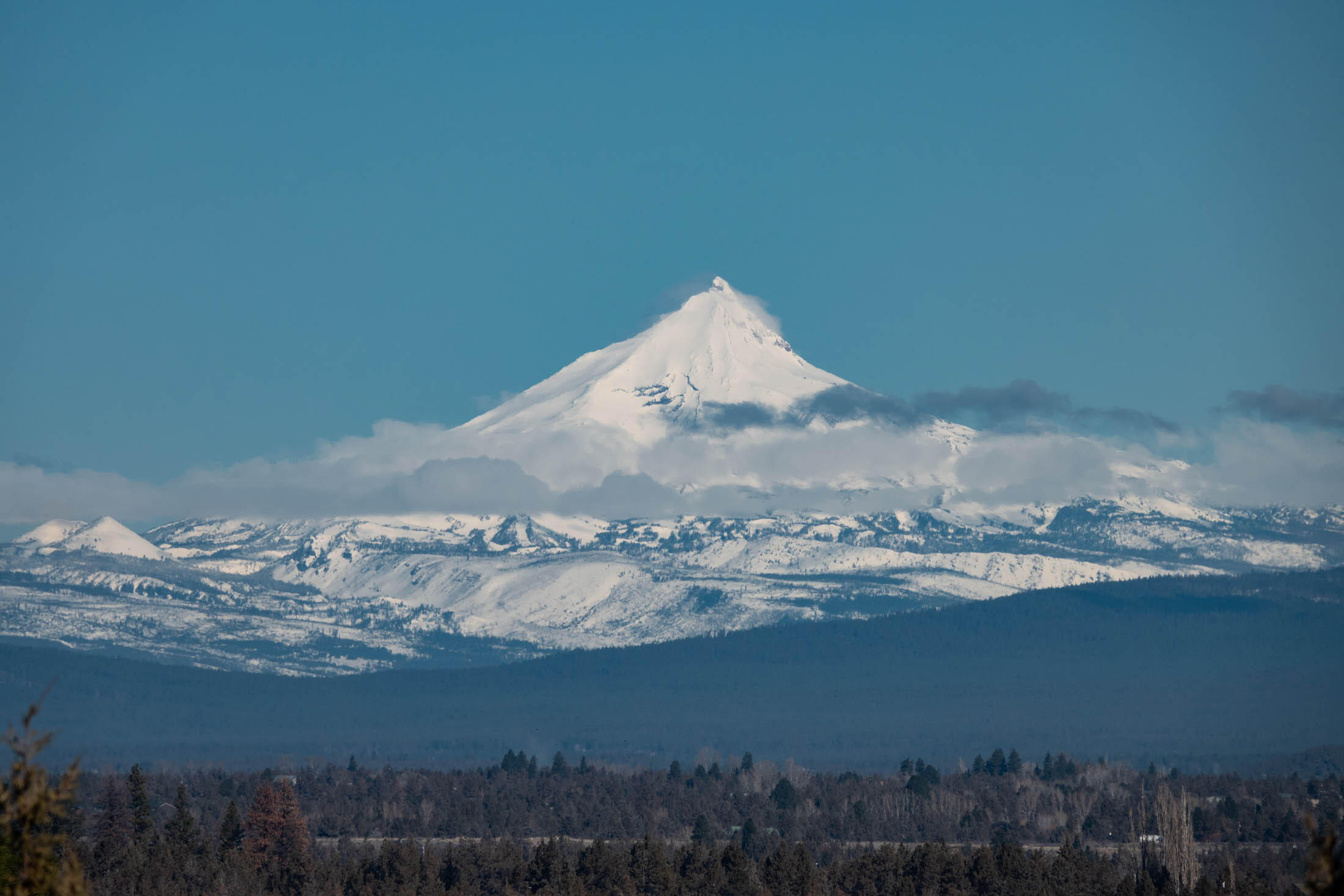 Wyndemere - Residential