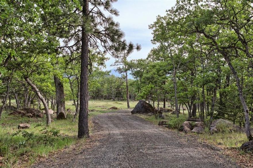 Bring your plans and build your dream home! Homesite is ready to go, well is dug, septic installed and driveway in! 42.09 acres on a level building site ~ all only 10 minutes from Ashland. This property is BEAUTIFUL and ready to built on! Property is a mix of oaks and pines with views, views, views! Seasonal creek on one side of the property. This is really a peaceful, magical spot. Property adjoins MLS # (insert listing for 6707 Shale City Road). Buyer to do own due diligence with Jackson County. Full information packet available.