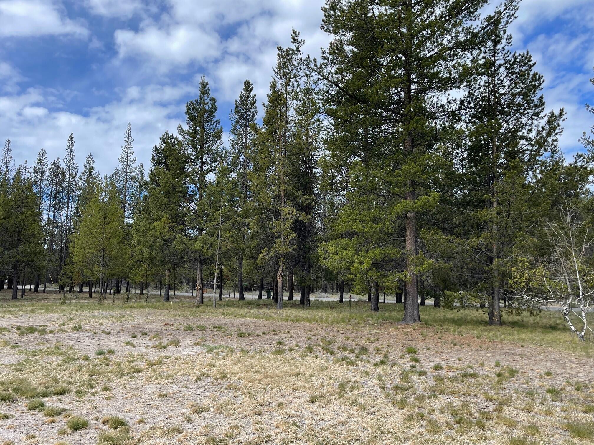 Antelope Meadows - Residential