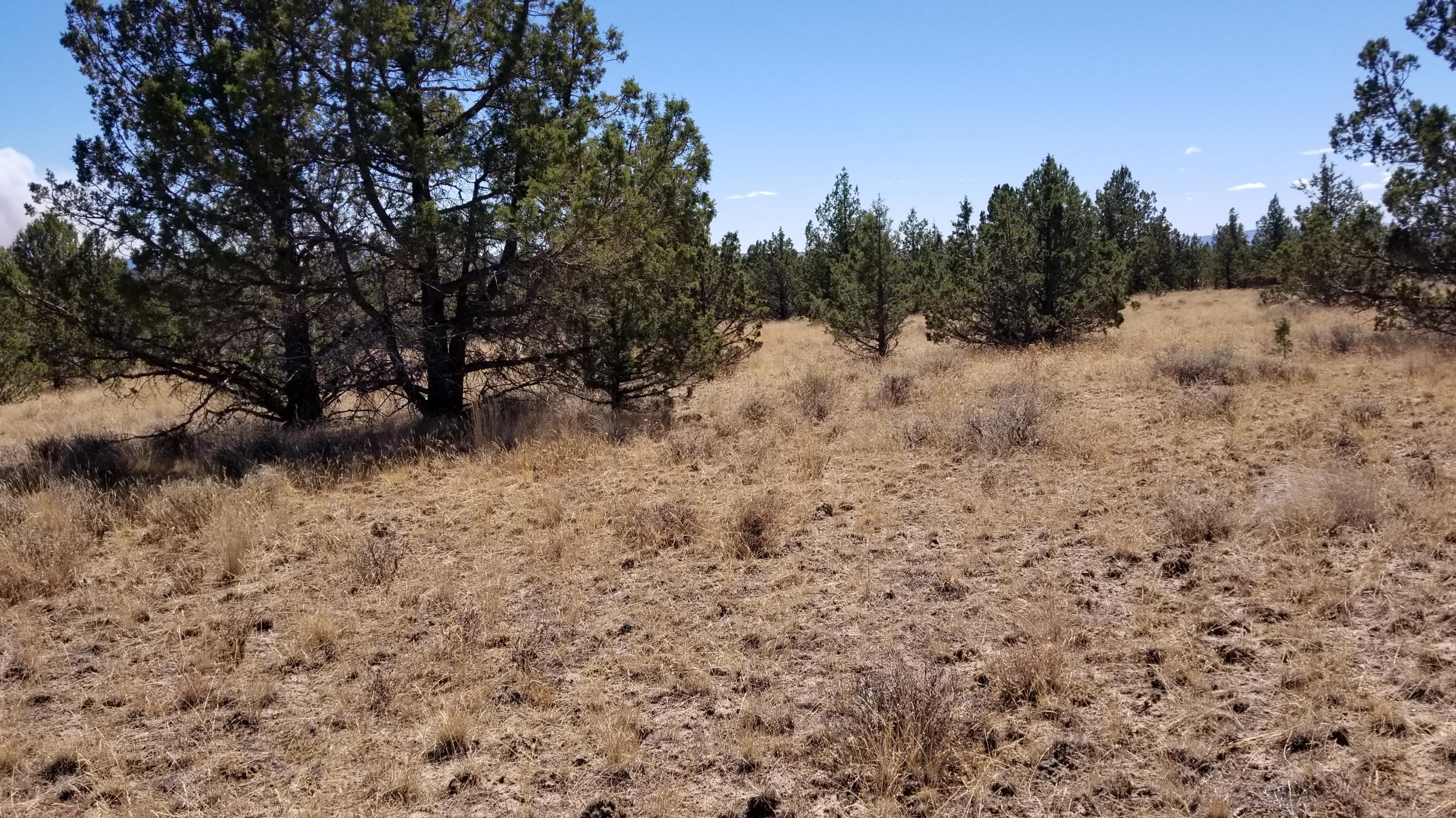 Ochoco Land + Livest - Land