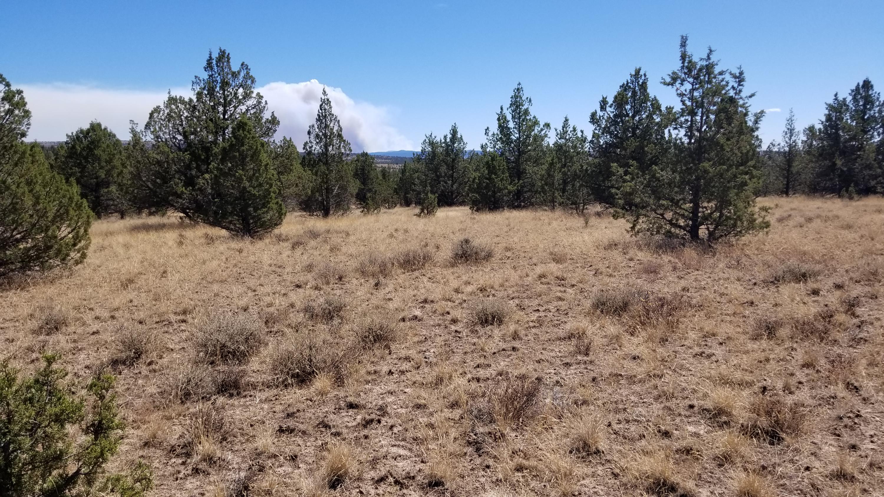 Ochoco Land + Livest - Land