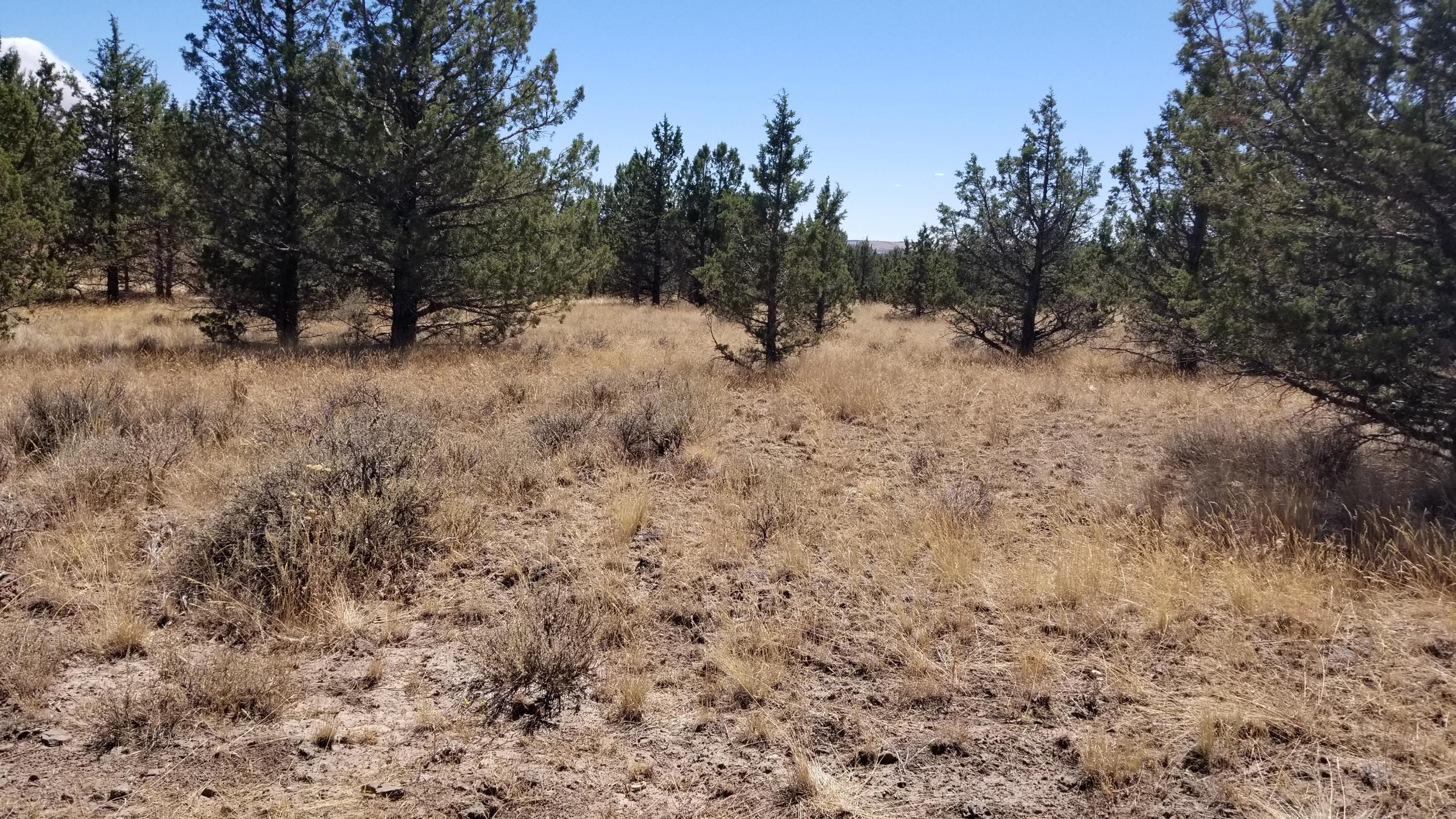 Ochoco Land + Livest - Land