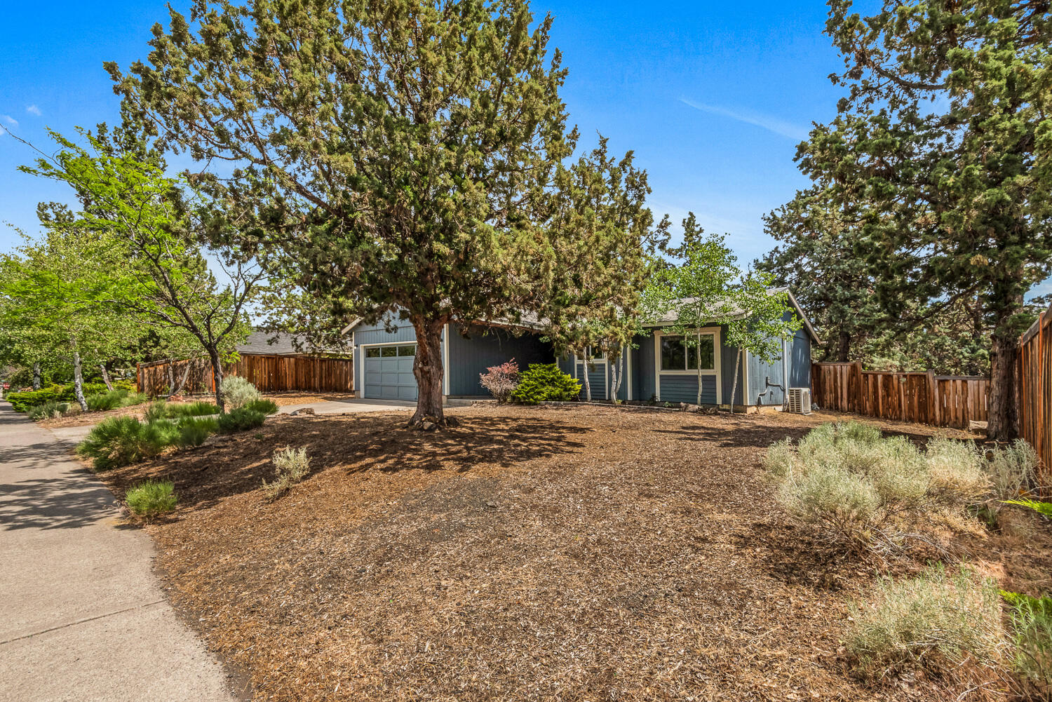 Tamarack Park - Residential