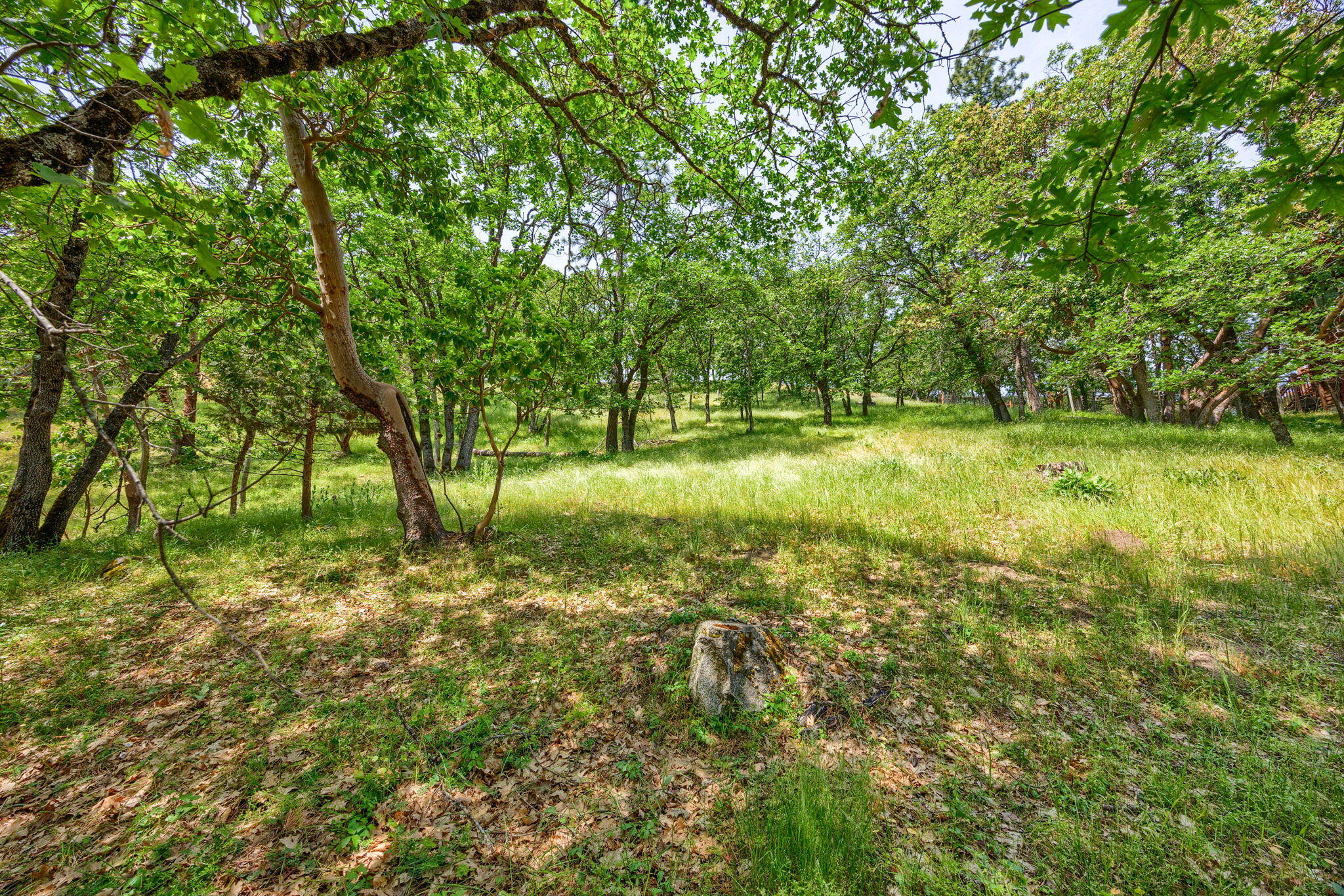 Strawberry Meadows Subdivision - Land