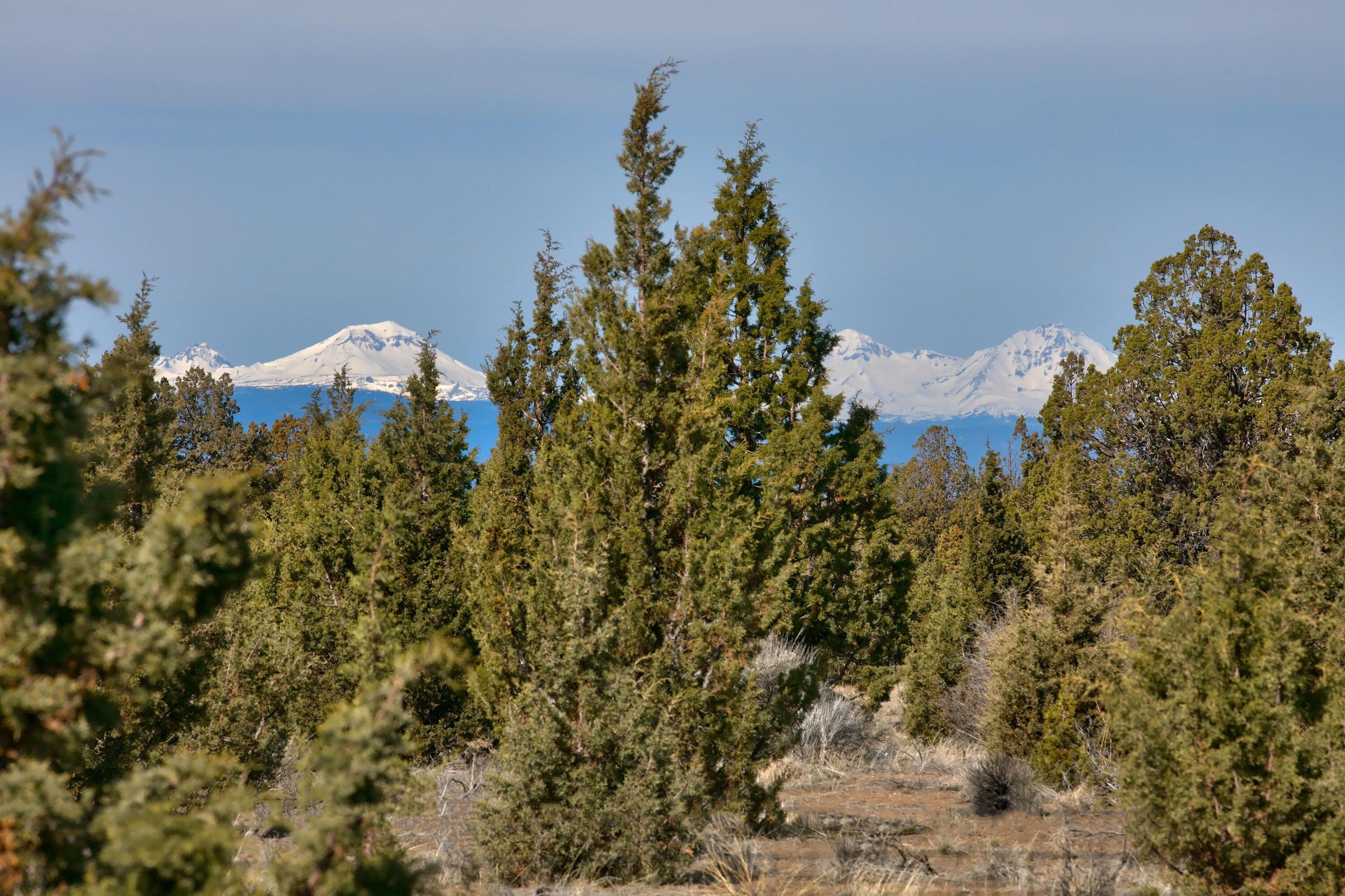 Juniper Acres - Land