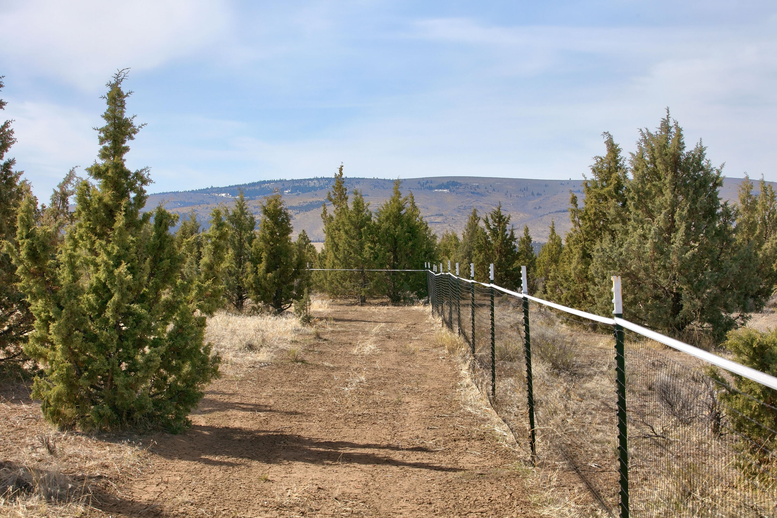 Juniper Acres - Land