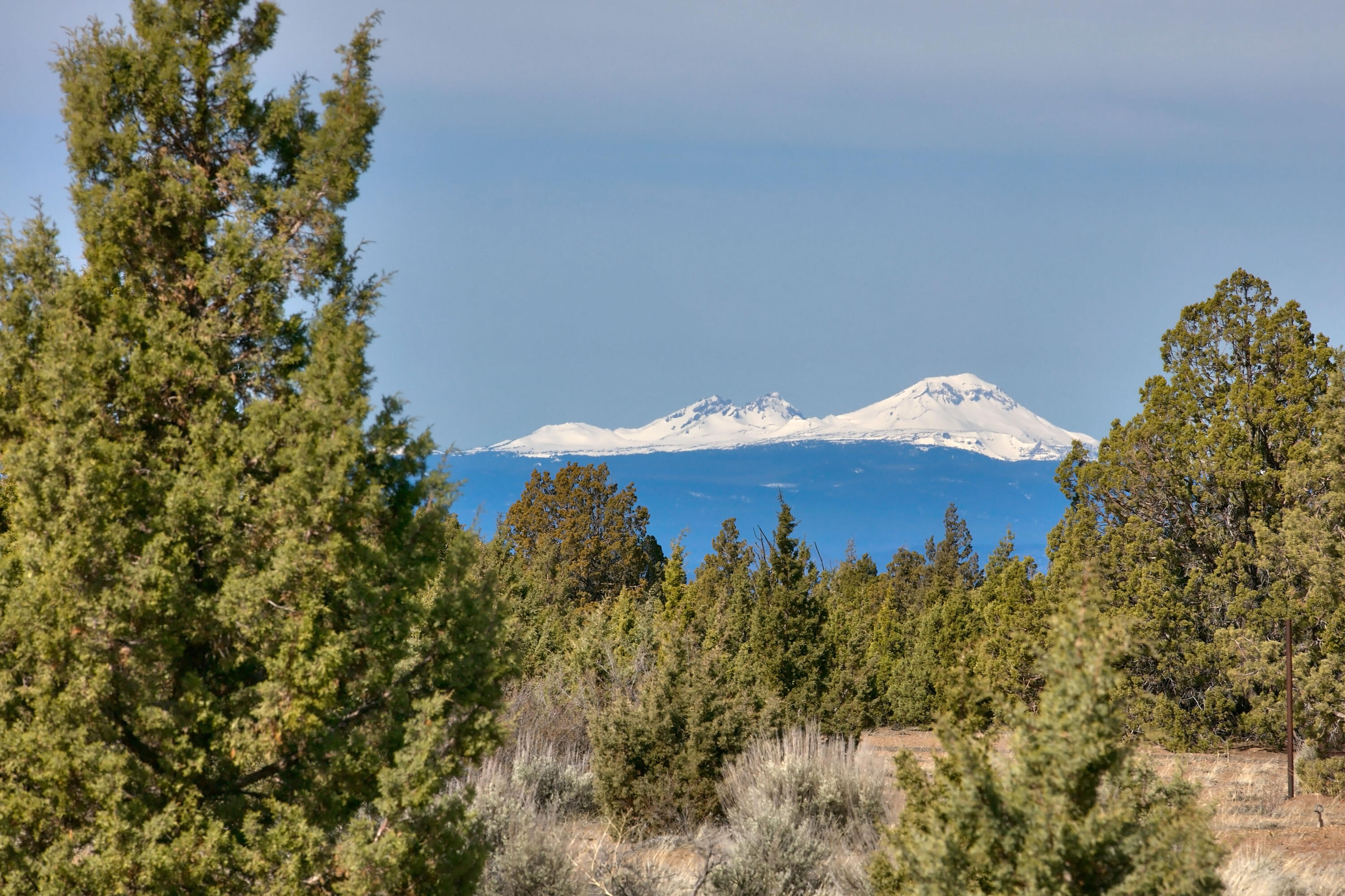 Juniper Acres - Land