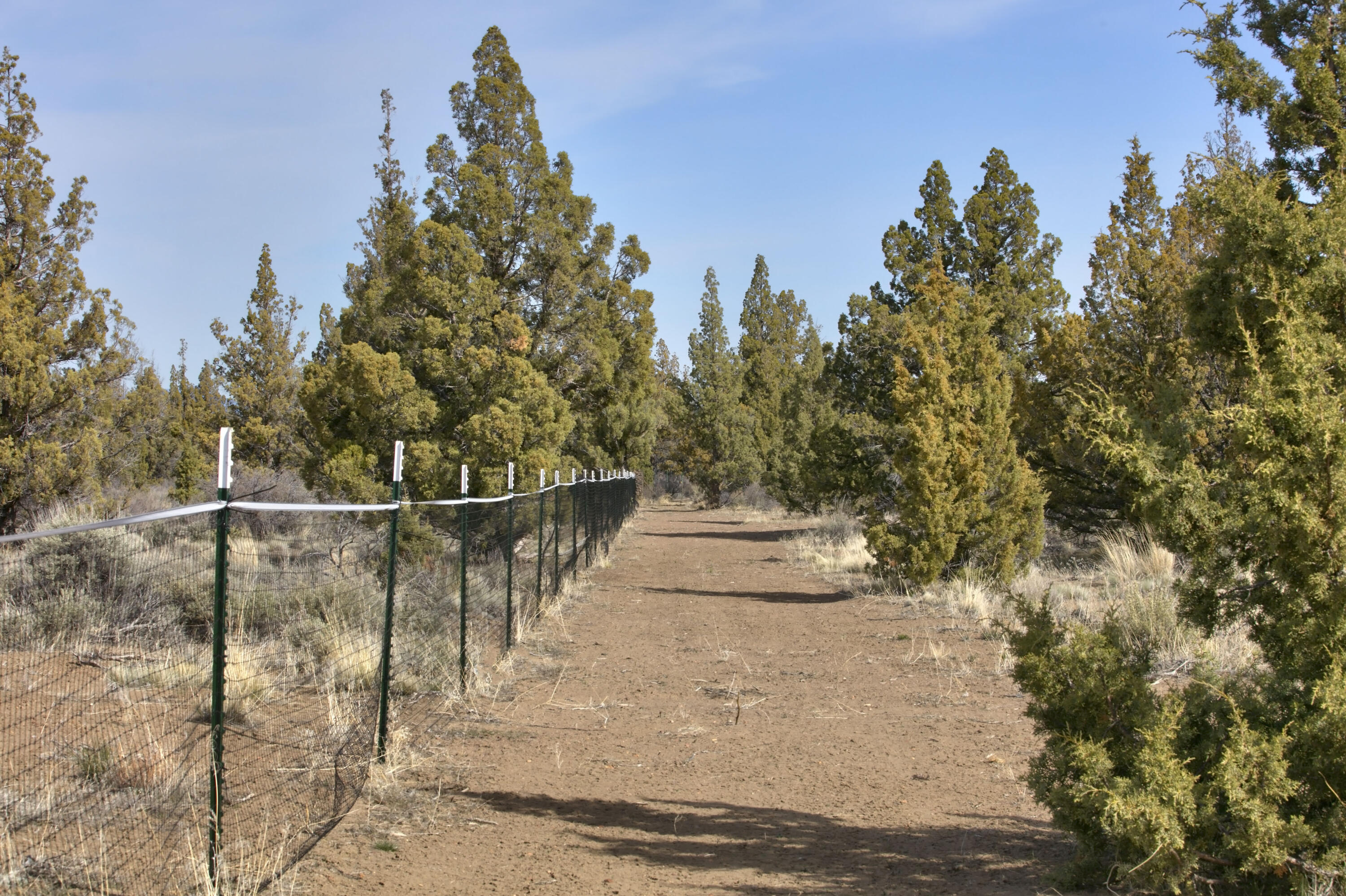 Juniper Acres - Land