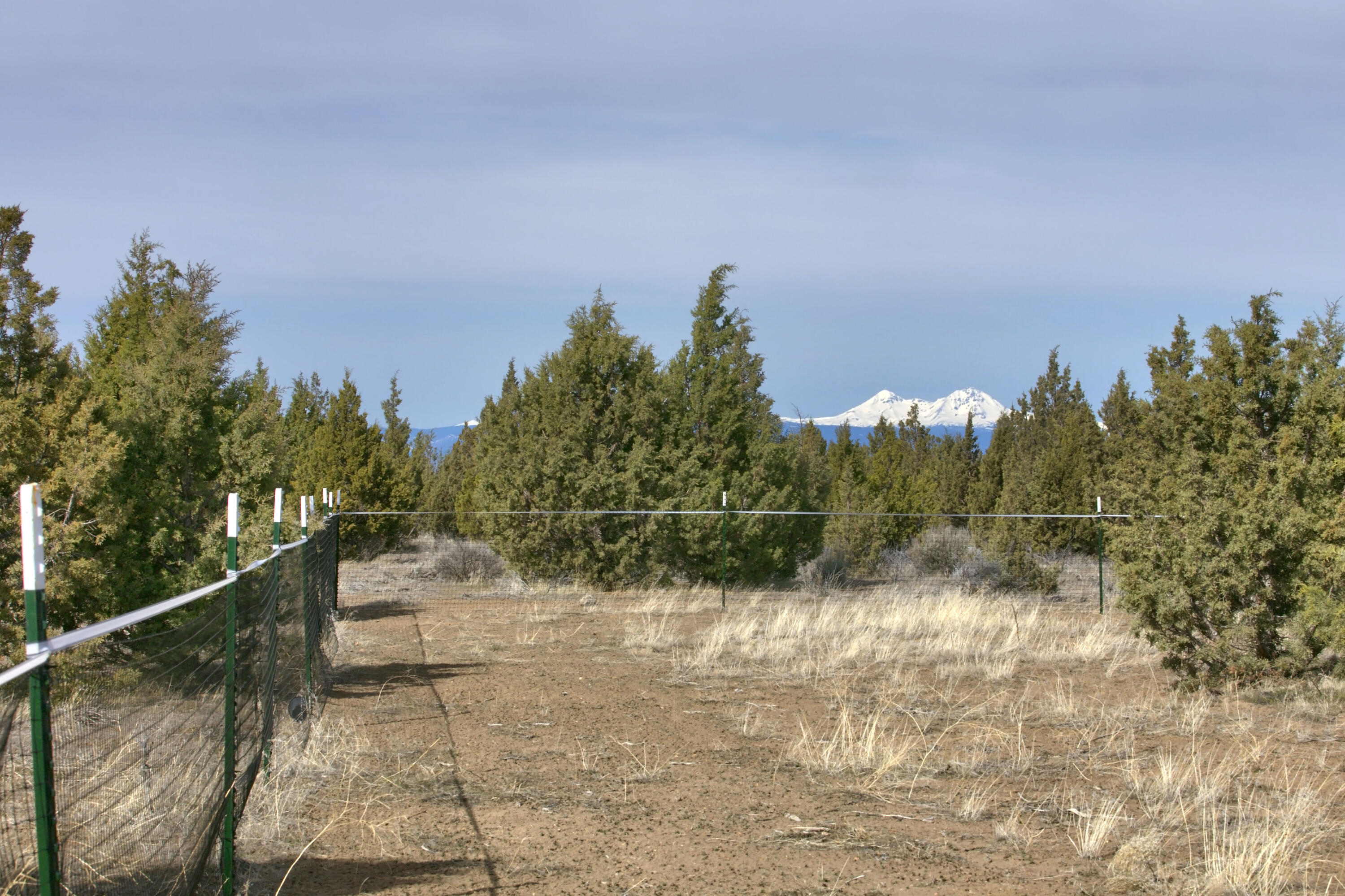 Juniper Acres - Land