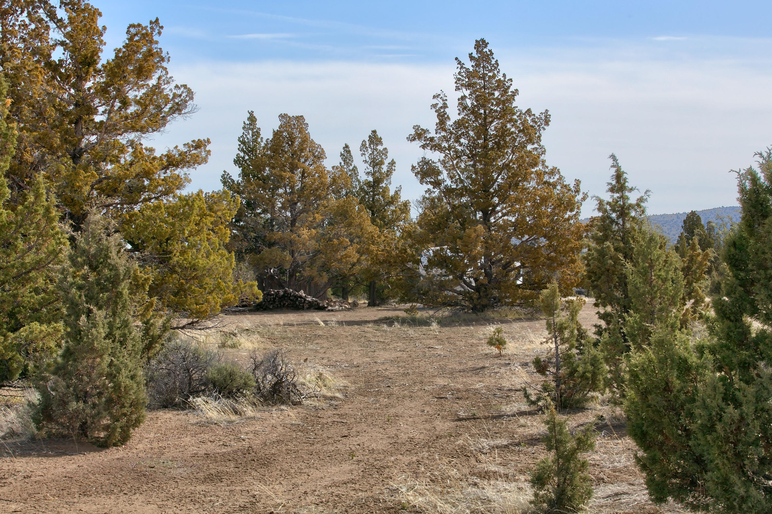 Juniper Acres - Land