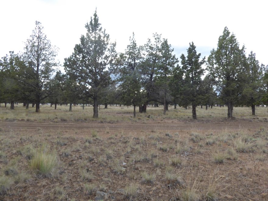 Come check out this level flat 5 acre parcel. Perfect for full time residence or vacation property. Power is close by. Property has been perk tested for standard septic system. Close to the third landing of Lake Billy Chinook and the Lake Village Store. Property backs up to airstrip operated by Airport Management. Buyer to perform due diligence with Airport Management in regards to buy in with Corporation. Buyer and buyers agent to due diligence with Jefferson County in regards to building. Property is in measure 37 and 49 new owner will only have 10 years to build.