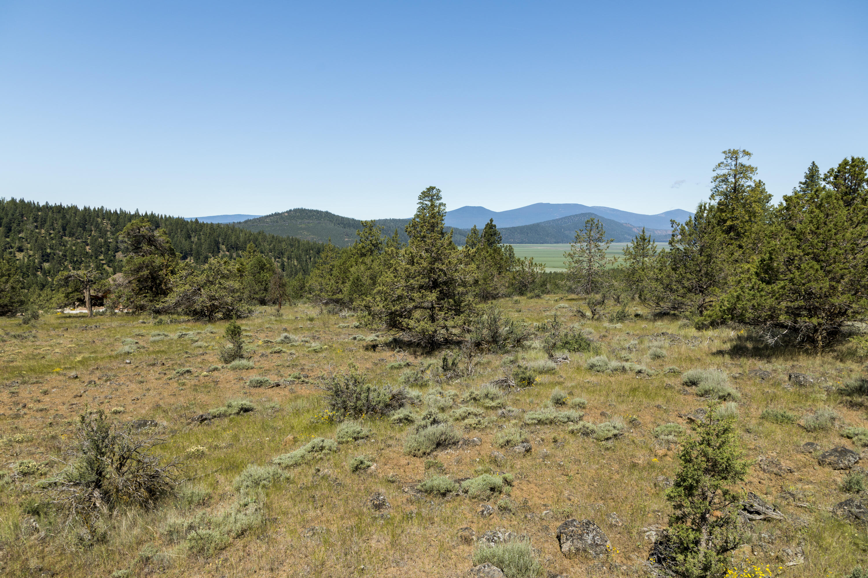 Ridgewater Subdivision -Phase 1 - Land