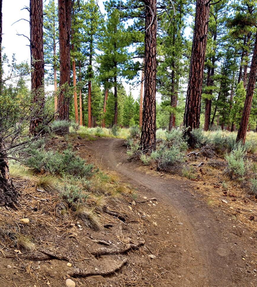 Village@Cold Springs - Residential