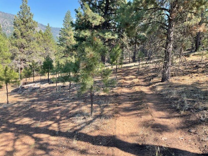 Here is a wonderful property to build your dream home! This beautiful 9.13 acre property is located in the highly desirable Plum Valley area off of Old Fort Rd on Simpson Canyon Road! Mature trees and Mule Deer are a must see on this slightly sloped property! Come check it out.
