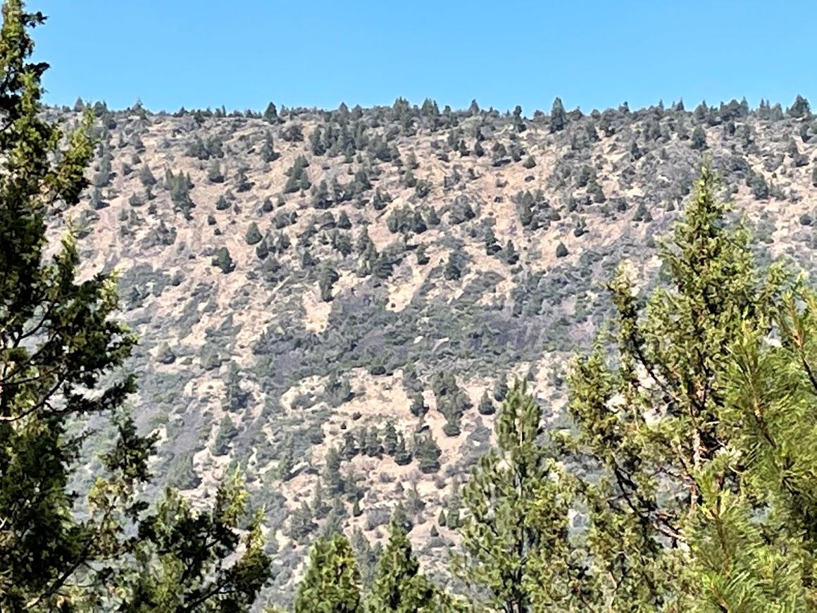 Plum Valley - Land