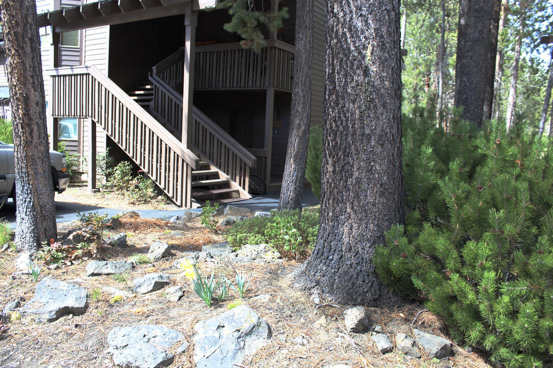 The Ridge - Residential