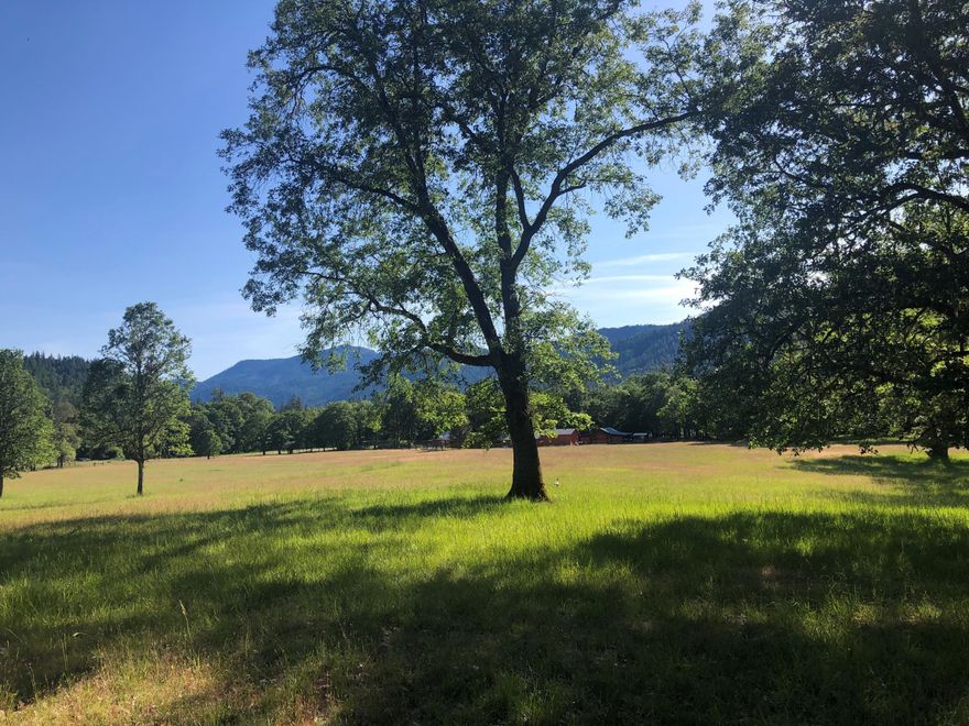 Amazing property in a secluded Valley surrounded by the Mountains of Southern Oregon. This parklike 40.23 acres, zoned EFU reflects 40+ years of sustainable stewardship.    The natural diversity of this property includes, established garden, season creeks and pond, pastures, groves of trees, trails, meadow, and diverse mixture of pine , oak cedar madrone and other species.  Along with the Cottage home, this property includes additional outbuildings thoughtfully designed with the flexibility to meet your   needs.  Two outbuildings have space for  hosting visitors hobby rooms, , housing vehicles (with two tall roll up doors) and/or animals.
