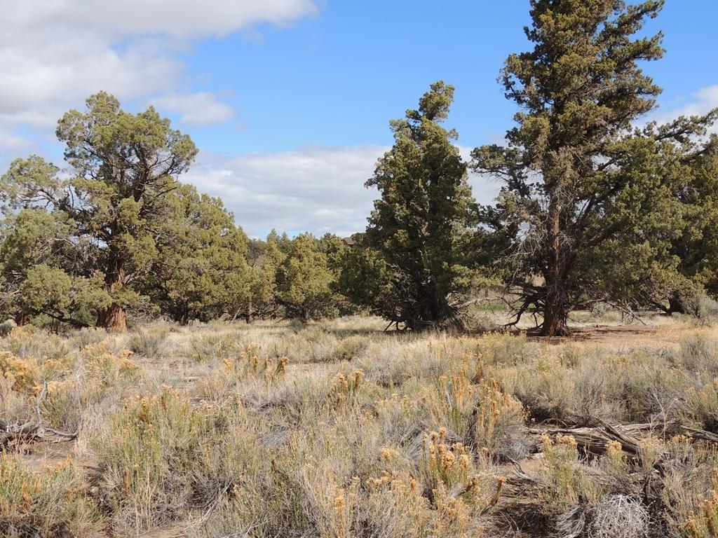 Brasada Ranch - Land