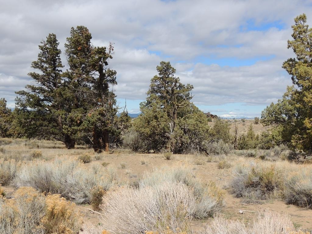 Brasada Ranch - Land