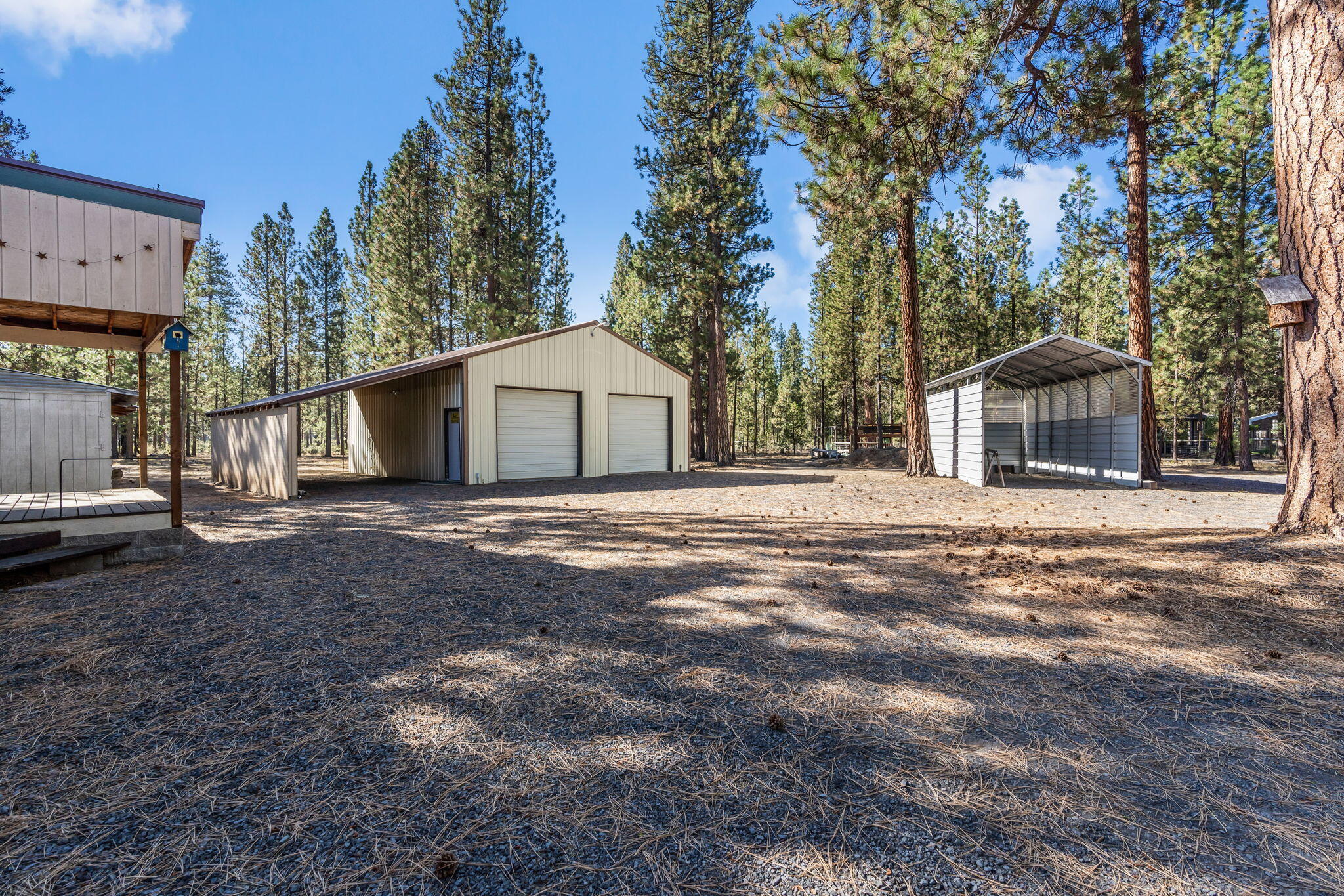 Ponderosa Pines - Residential