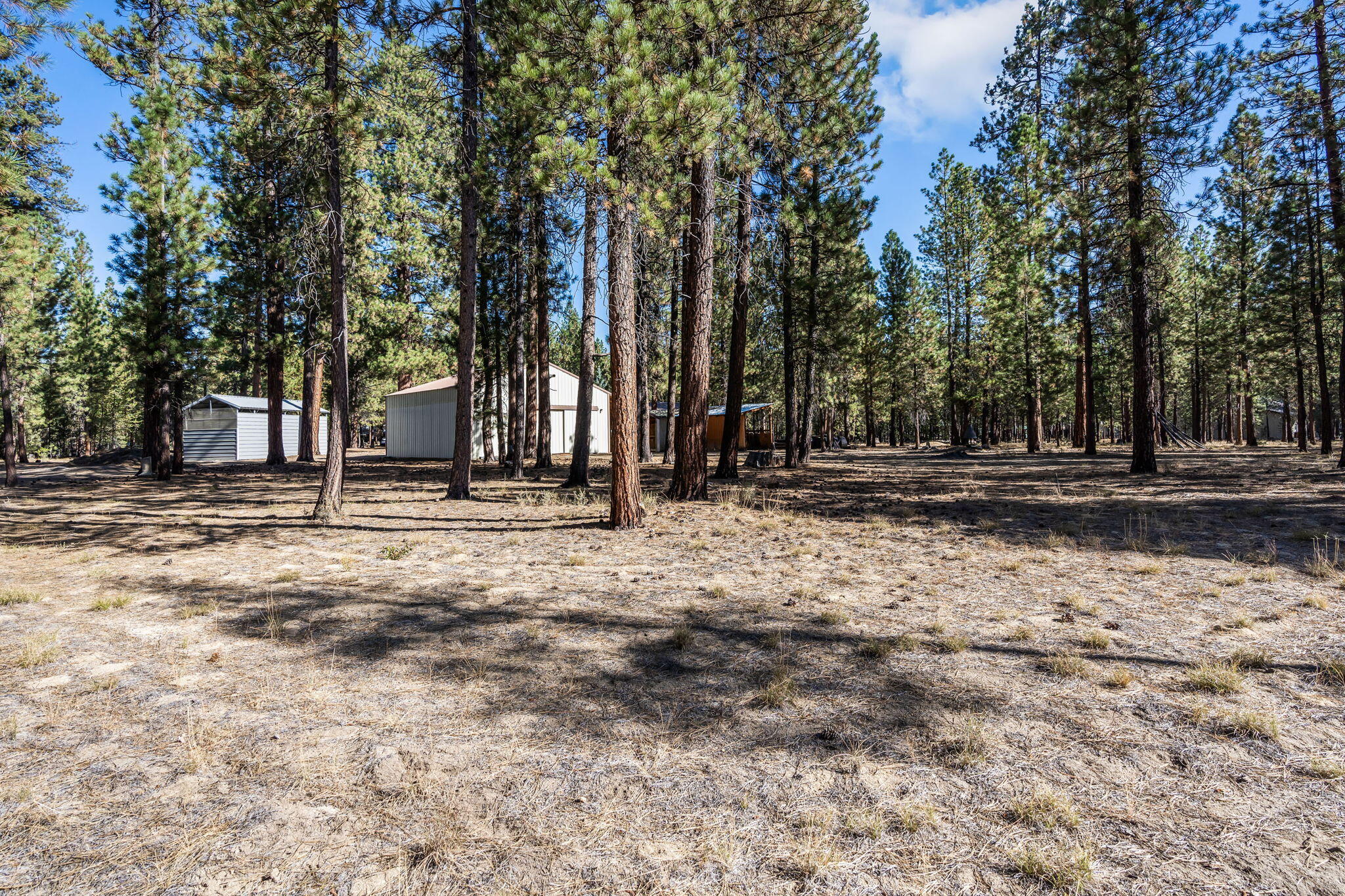 Ponderosa Pines - Residential