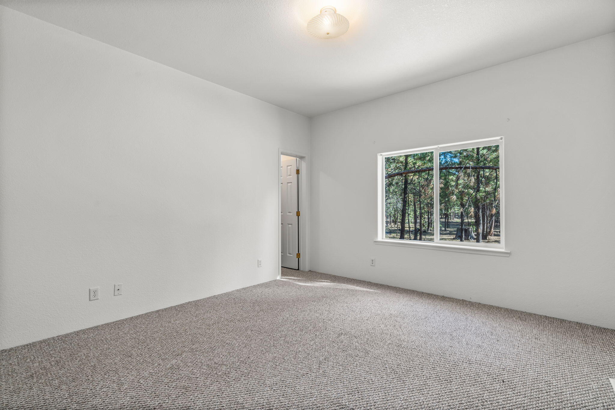 Ponderosa Pines - Residential